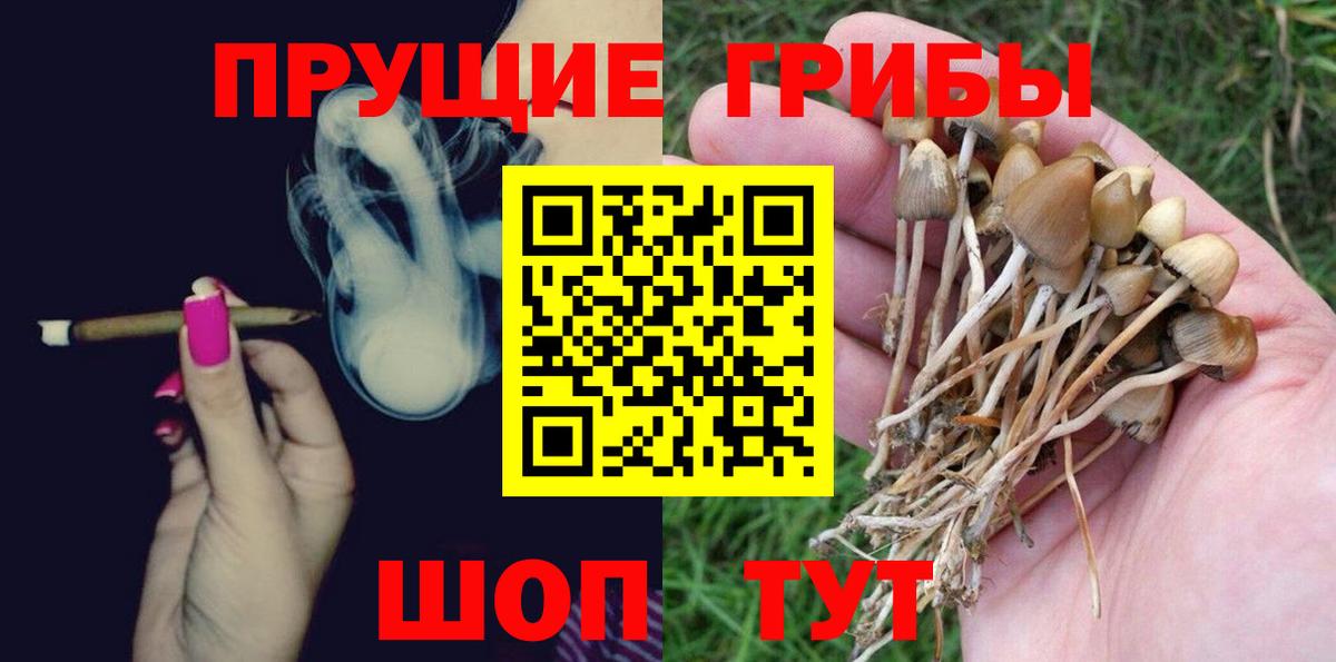 Галлюциногенные грибы мицелий Ишим