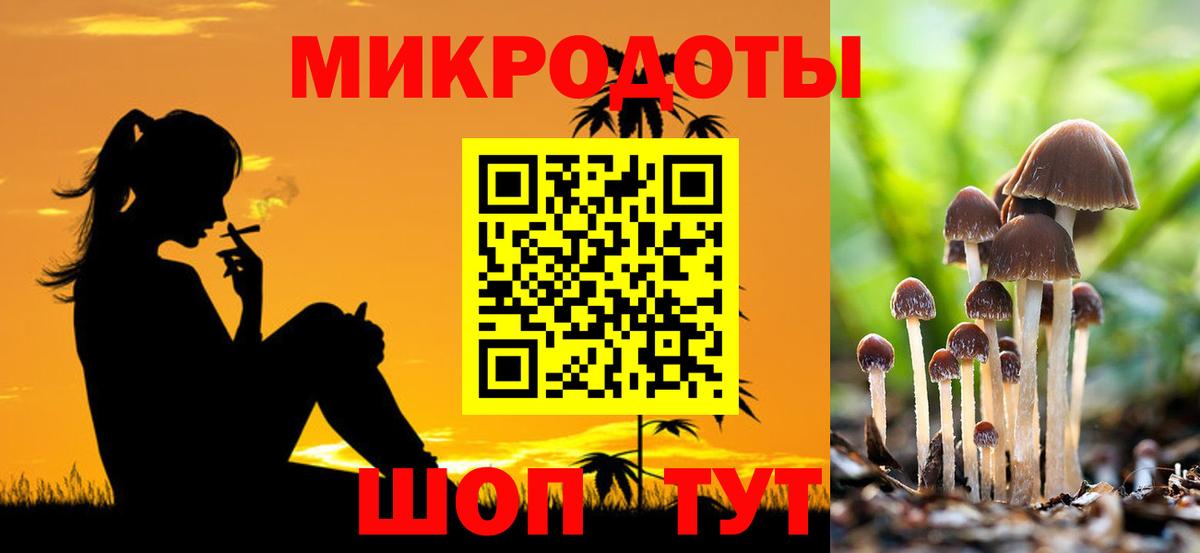 Псилоцибиновые грибы GOLDEN TEACHER  Вход с VPN  купить  цена  Галлюциногенные грибы Psilocybine cubensis  Ишим 